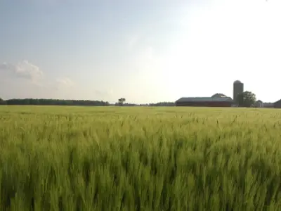 Field with farm in the distance