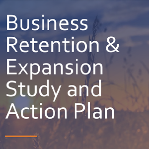 Business Retention and Expansion Report